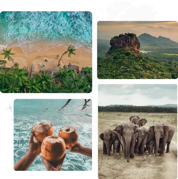 Soul Ceylon Travels chauffeur guide with visiting travellers in Sri Lanka