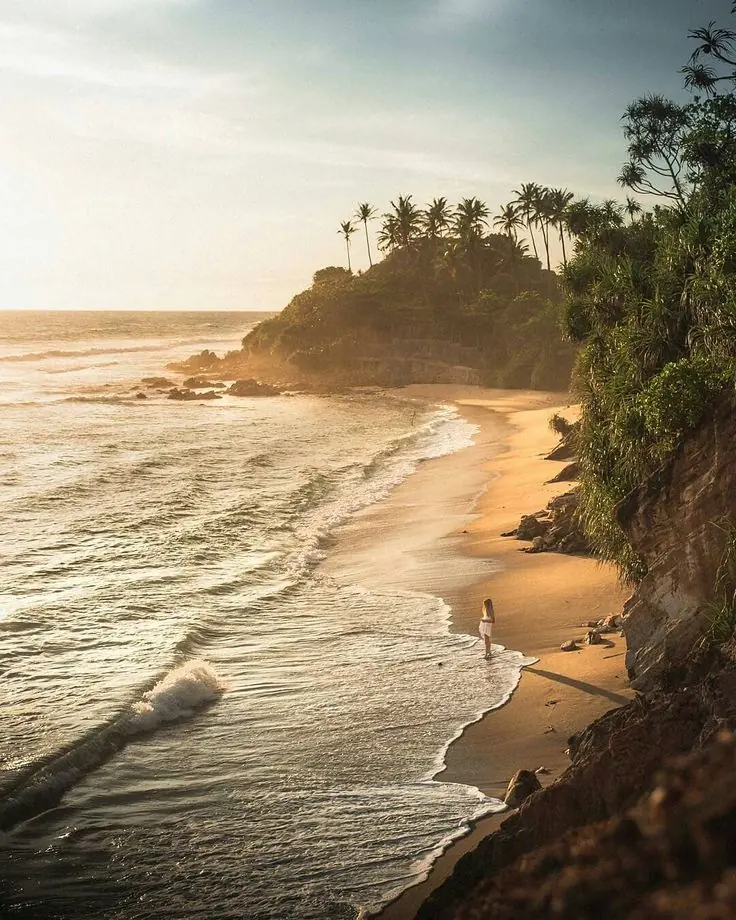 Weligama's palm-lined beaches