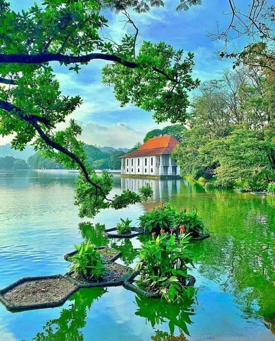 Kandy city and botanical gardens