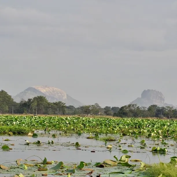 Habarana's lake country