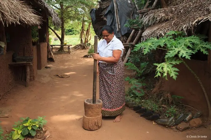 Hiriwadunna village tour by catamaran