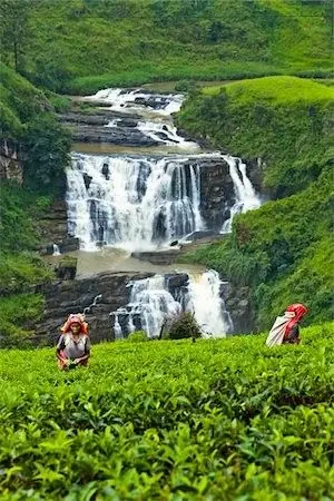 Waterfalls near Nuwara Eliya